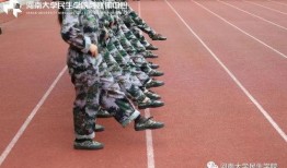 军训51吃瓜,揭秘军训中的那些“吃瓜”趣事