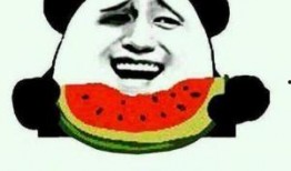 不明吃瓜群众文案