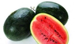 uki 吃瓜,瓜界新宠，揭秘网红瓜的火爆之路