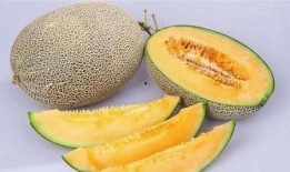 哈密瓜何时吃,哈密瓜的最佳食用时节揭秘