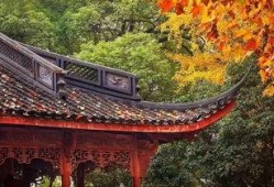 西湖吃瓜,一场味蕾与视觉的双重享受