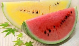 吃瓜的高端句子