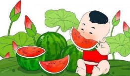 吃瓜太多小说,揭秘吃瓜群众的狂欢与反思