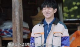 外网吃瓜何炅黄磊,娱乐圈风云再起