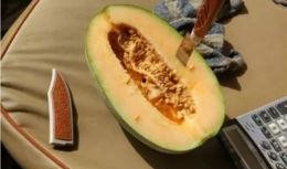 最全吃瓜名字大全