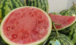 超爽吃瓜,揭秘娱乐圈幕后真相！