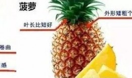 台湾凤梨吃瓜群众视频,揭秘视频背后的故事