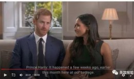 吃瓜王子的专业,娱乐圈幕后真相大揭秘