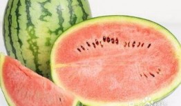 近期吃瓜拉肚子,揭秘近期肠胃不适背后的真相