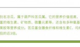 吃瓜群众经营方案,轻松玩转瓜界，成为瓜界达人