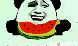 新梗吃瓜,揭秘网络热词背后的趣味与真相