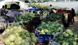 河南商丘古城吃瓜,夏日吃瓜，品味古韵时光