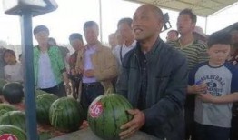 衡阳建材吃瓜群众