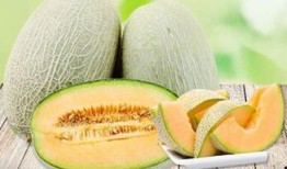 吃哈密瓜喉咙发麻,哈密瓜诱人却引发喉咙麻感之谜