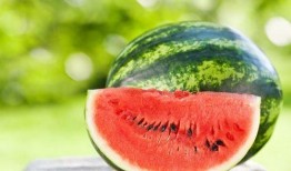 电梯吃瓜看瓜丢瓜,看瓜、丢瓜、吃瓜，揭秘现代都市生活百态