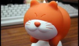 fly转会cat吃瓜,Fly转会Cat，吃瓜群众热议不断