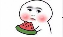 吃瓜群众汤同学,吃瓜群众的美食探索之旅