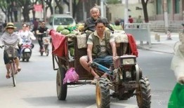 摆摊吃瓜视频,摆摊吃瓜，揭秘市井百态