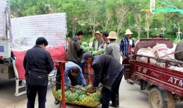 衡阳建材吃瓜群众