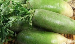 吃莴瓜烧心怎么办,莴瓜烧心不适？揭秘应对策略及预防方法