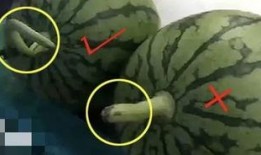 专业吃瓜的网站,带你领略网络舆论场的风云变幻