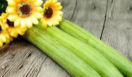 立秋吃瓜吃的是什么瓜