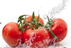 天天吃瓜番茄小说,番茄小说中的悬疑世界