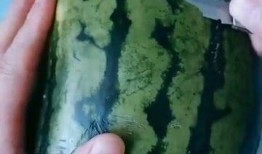 手工diy吃瓜,夏日清凉吃瓜新风尚