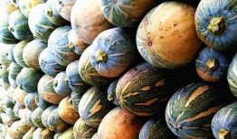 务川网红吃瓜事件,揭秘网络舆论的风暴与反思