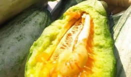 安静地吃瓜视频