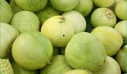 芒果能和鸡瓜一起吃吗,芒果与鸡瓜的饮食搭配探讨