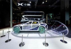 特斯拉排队吃瓜,揭秘新能源汽车热潮下的众生相