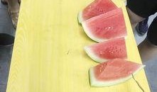 安静地吃瓜视频