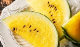 吃瓜gsp,吃瓜群众视角下的GSP风云录