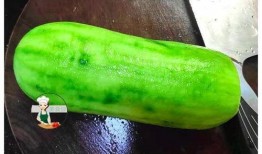 吃瓜菜的文案,探寻美味与健康的完美融合