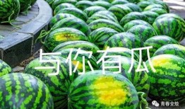 师范大学吃瓜,师范大学里的那些“吃瓜”趣事