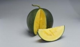 急冻的瓜怎么吃,急冻瓜果新食法揭秘