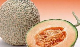 吃不吃哈密瓜,吃或不吃，你的选择决定健康与美味