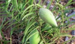 365吃瓜部落资源,揭秘娱乐圈幕后故事，带你领略明星真实生活