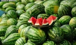 吃瓜上人,吃瓜群众视角下的生活百态