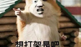 搞笑吵架吃瓜,一场搞笑吵架引发的吃瓜盛宴