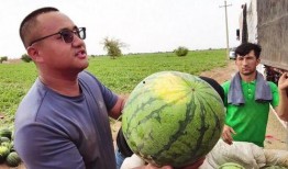 吃瓜图片水印,揭秘吃瓜图片背后的水印秘密