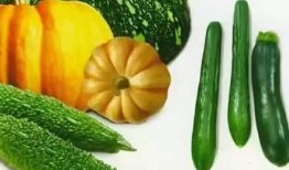 打春吃瓜什么意思