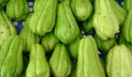 佛手瓜吃不好,小心健康受损