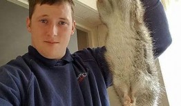 怎样防止老鼠吃瓜,老鼠防食策略全解析