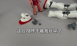 高达胶圈吃瓜,揭秘吃瓜群众的狂欢盛宴