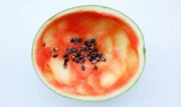 吃瓜用勺子吃的文案,解锁夏日清凉新姿势