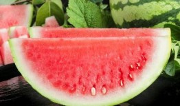 小小度吃瓜,揭秘娱乐圈那些不为人知的幕后故事