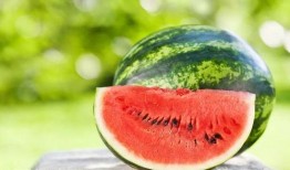 吃各种水果瓜,瓜果飘香，营养满溢的味蕾之旅