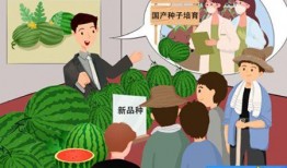 吃瓜群众如何绘画,轻松绘制趣味瓜界